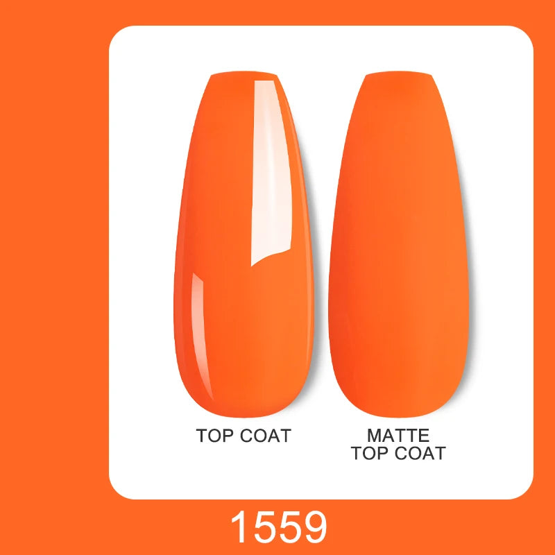49905030037811
